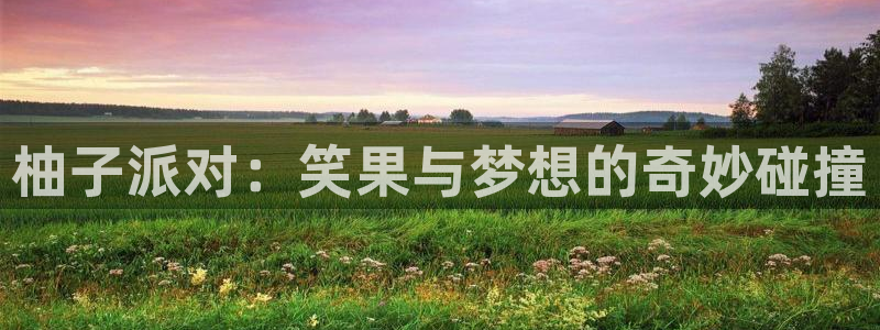 歪歪漫画虫虫：柚子派对：笑果与梦想的奇妙碰撞