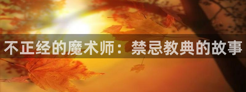 歪歪漫画四：不正经的魔术师：禁忌教典的故事