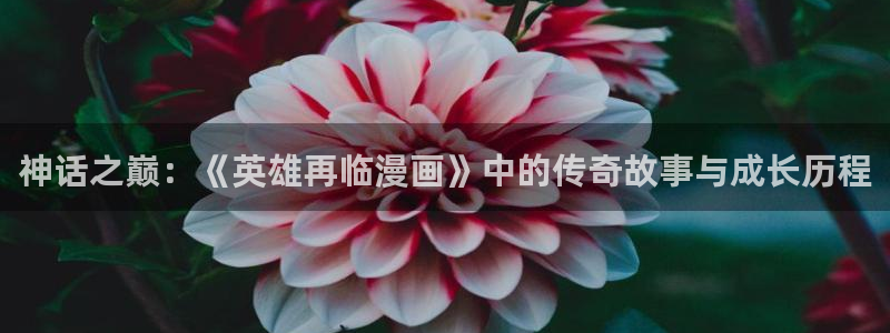 歪歪漫画韩网首页：神话之巅：《英雄再临漫画》中的传奇故事与成长历程